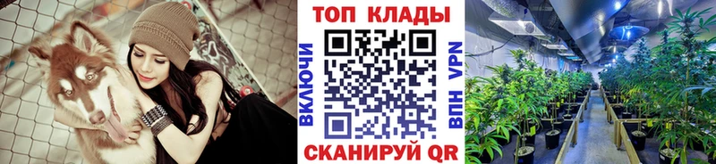 Купить закладку Фурманов Alpha-PVP  Канабис  Cocaine 