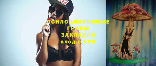 винт Алексин