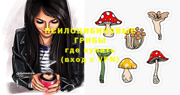 винт Алексин
