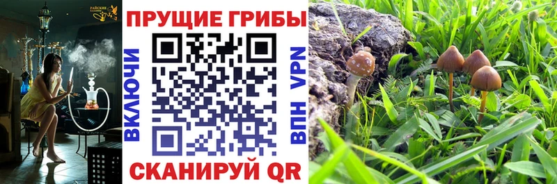 Галлюциногенные грибы Psilocybe  Фурманов 